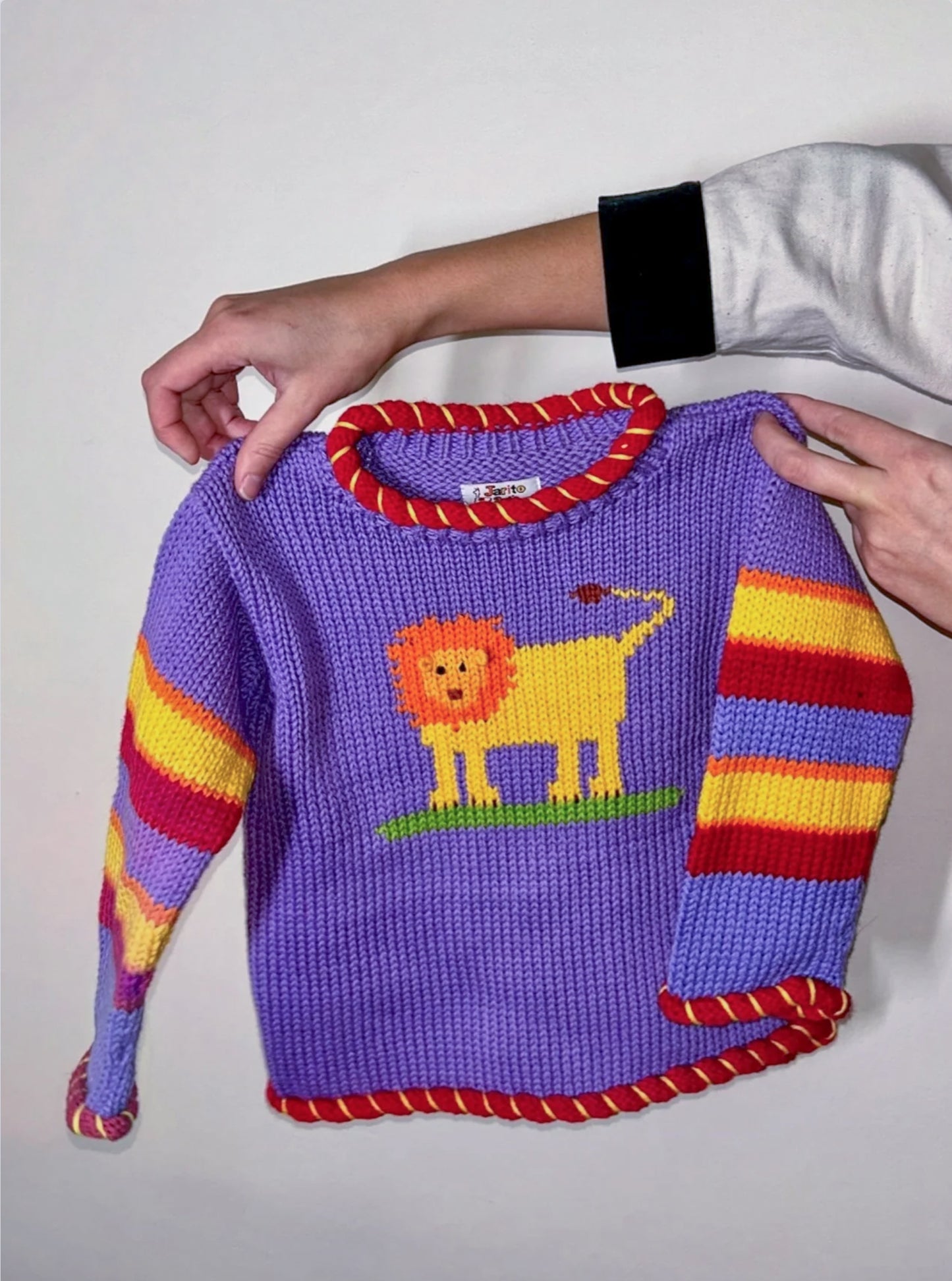 Circus Roar! Sweater - 2Y