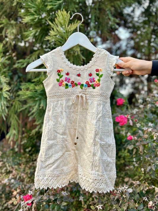 Little Ladybug Dress with Sleeves - 6Y